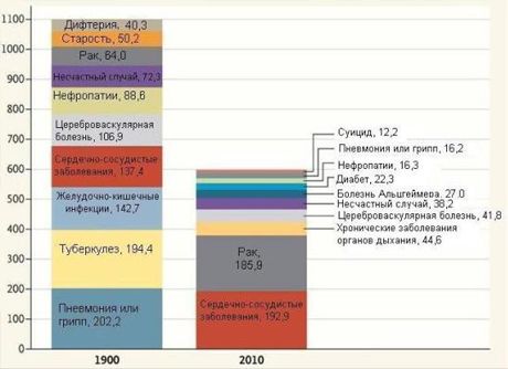 100年前人類傷害了什麼？