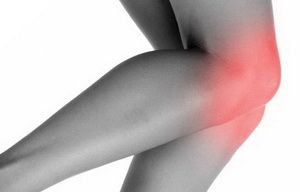 什麼是膝蓋，它的作用是什麼？