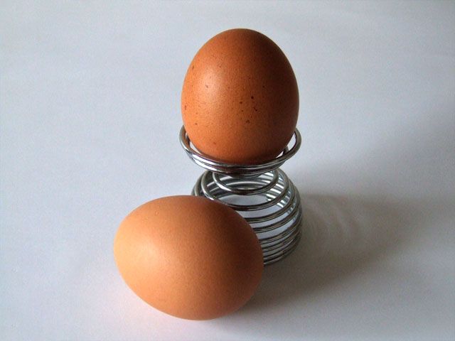 雞蛋飲食的缺點